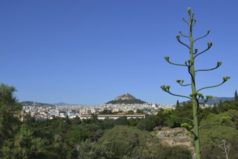Wolkenlos. Blick auf Athen. Und immer im Wettstreit mit der Akropolis: Der Lycabettus-Hügel, 277 Meter hoch, mit der St. Georgs-Kirche auf dem Gipfel.